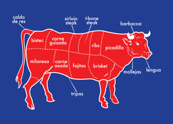 Tex-Mex Cow Post Card