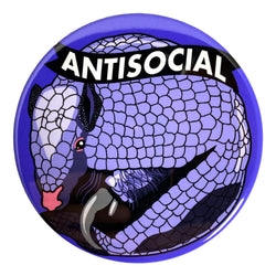 Antisocial Magnet or Mirror
